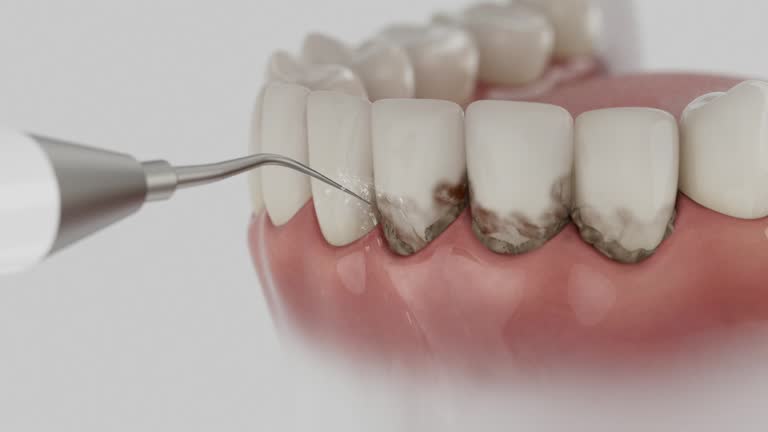 Reliable Dental contractor in Nashwauk, MN by Dentist Open Now